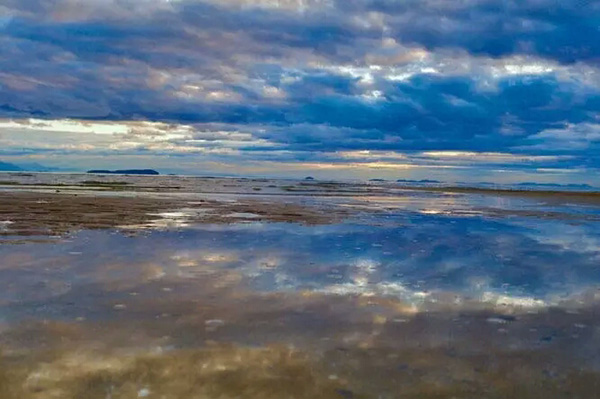 【海洋大使第三季招募】原文轉自PADI訂閱號