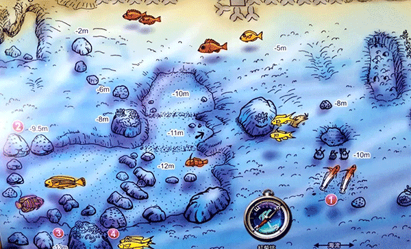 墾丁潛水攻略 墾丁潛水攻略