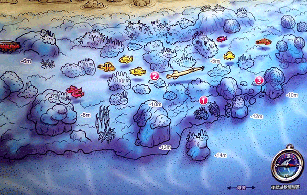 墾丁潛水攻略 墾丁潛水攻略