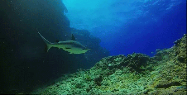 毛里求斯,不要太美 毛里求斯,不要太美