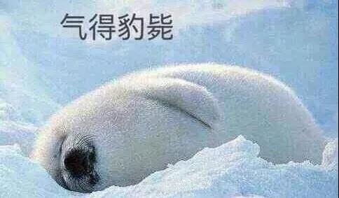 原來你是這樣的潛水員妹子！