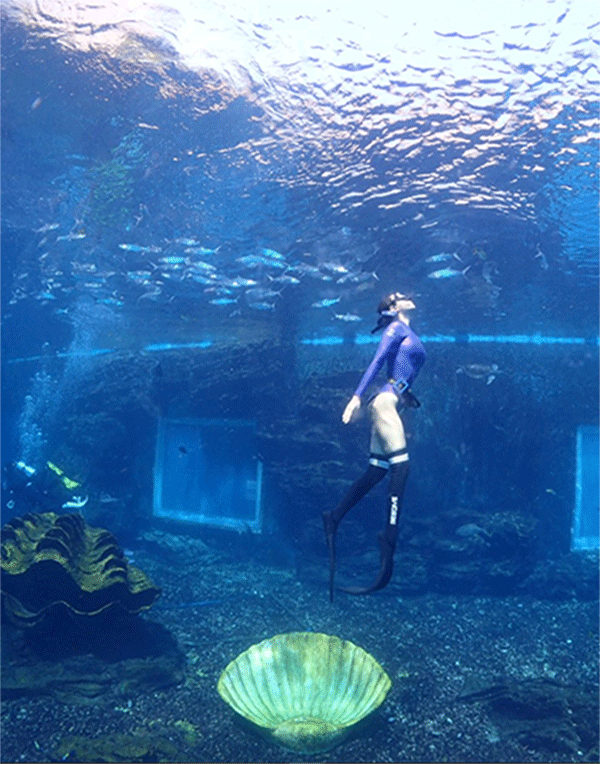 潛水常見問題，原來潛水沒你想的那么難