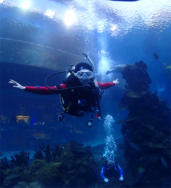 潛水常見問題，原來潛水沒你想的那么難