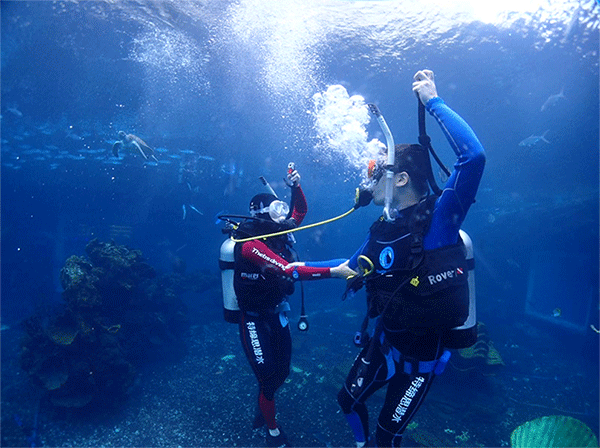 潛水常見問題，原來潛水沒你想的那么難
