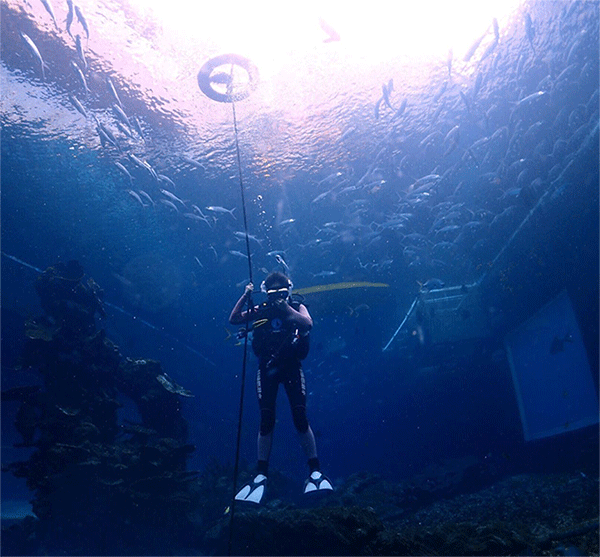 潛水常見問題，原來潛水沒你想的那么難