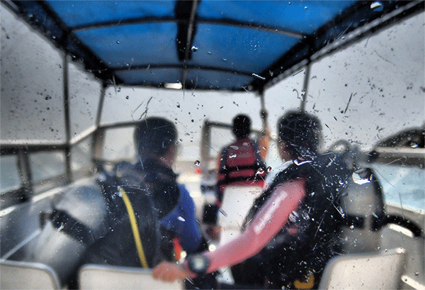 潛水常見問題，原來潛水沒你想的那么難