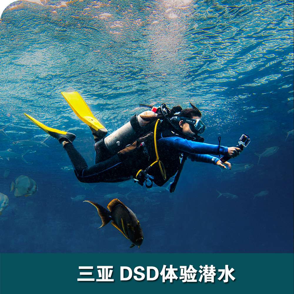 三亞洲際酒店DSD體驗(yàn)潛水
