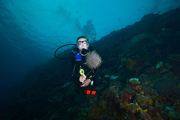 什么是耳壓平衡？